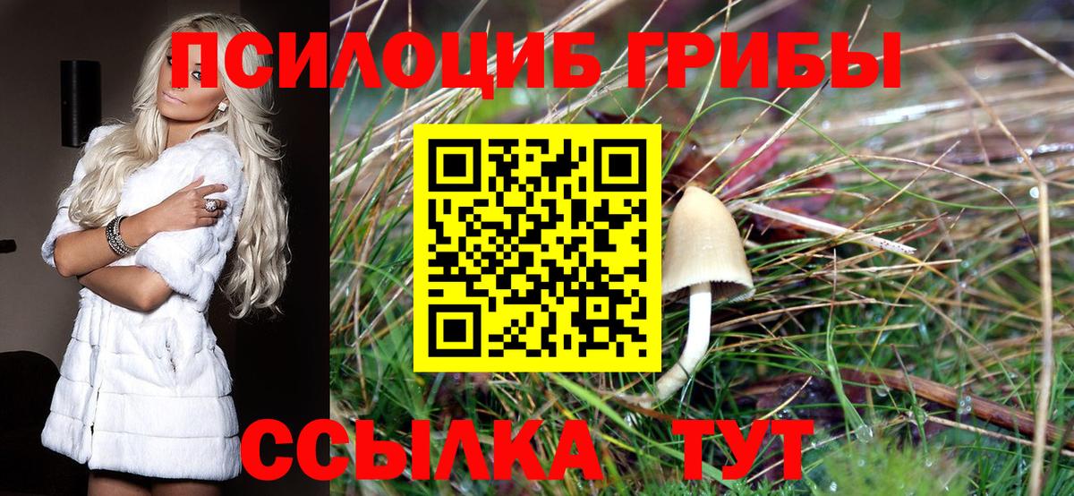 Галлюциногенные грибы Cubensis  Вход с VPN  Усть-Илимск 